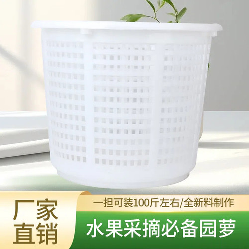 小号萝水产圆筐塑料周转筐