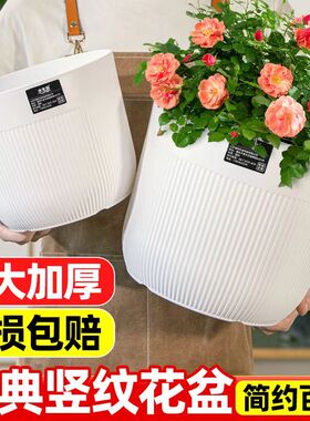 【控根花盆】清仓捡漏大号多肉大口径养花专用特大号大口径塑料