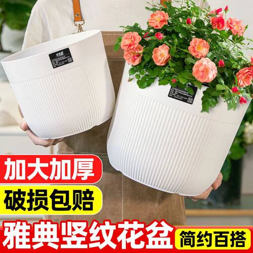 【控根花盆】清仓捡漏大号多肉大口径养花专用特大号大口径塑料