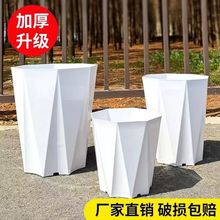 【钻石花盆】清仓捡漏大号多肉大口径养花专用特大号大口径塑料