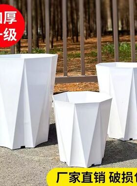 【钻石花盆】清仓捡漏大号多肉大口径养花专用特大号大口径塑料