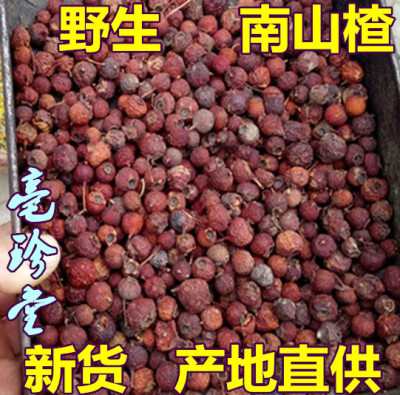 野生山楂 南山楂入药用小叶山楂豆 健/胃/消/食中药材 包邮500g克