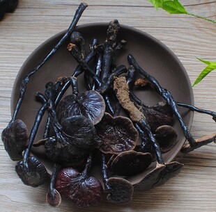 全国包邮海南五指山原生态野生灵芝竹灵芝生态野生250g整枝竹灵芝