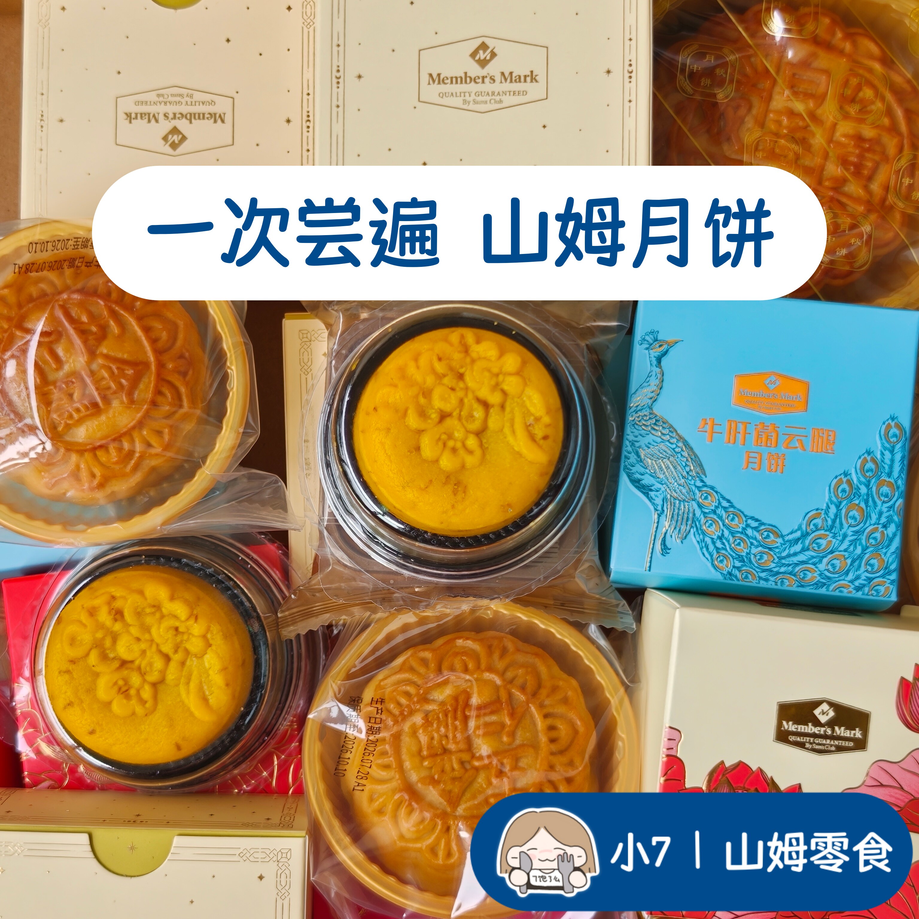 小7【一次尝遍MM月饼】
