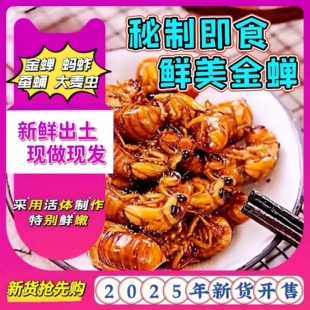 香酥知了猴【活体新货制作】金蝉蛹油炸即食唐僧肉虫子爬叉结了龟