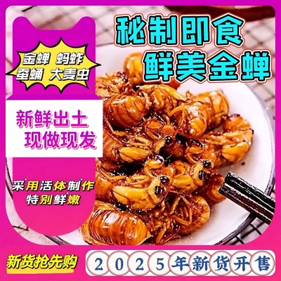 新鲜金蝉油炸即食孜然唐僧肉