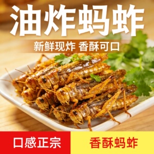 【官方自营】蚂蚱油炸即食新鲜蝗虫美食昆虫子蚱蜢小吃山东特产