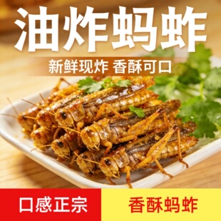 美味香酥蚂蚱【独家活体鲜炸款】蚂蚱油炸即食新鲜蝗虫美食昆虫子