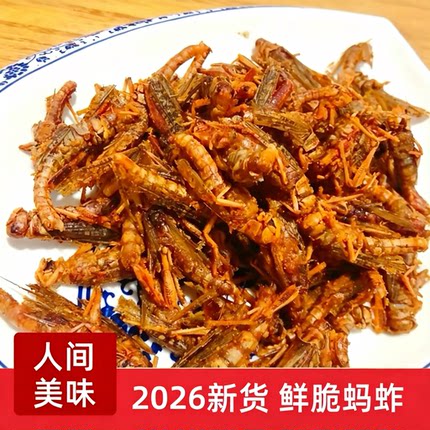 美味香酥蚂蚱【保证酥脆款】蚂蚱油炸即食蝗虫昆虫子美食小吃蚱蜢