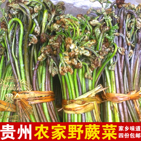 贵州特产 遵义凤冈野生蕨菜新鲜野菜蕨菜500g现挖现卖新鲜野菜