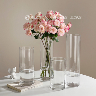 轻奢玻璃花瓶透明高级感水养水培鲜花雪柳玫瑰客厅插花装饰摆件大