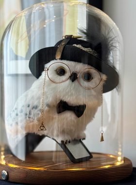 适用于哈利波特环球影城海德薇猫头鹰玻璃罩展示盒信使玩偶防尘罩