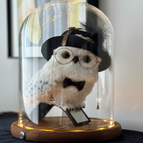 适用于哈利波特环球影城海德薇猫头鹰玻璃罩展示盒信使玩偶防尘罩