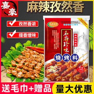 烧烤外撒料 麻辣孜然香456g 面筋鸡翅调味料商用 烧烤料 名府珍味