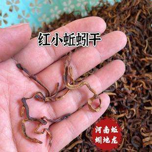 小红蚯蚓干钓鱼饵料钓鱼黑坑泥鳅鳅宝玉黄鳝河虾诱饵垂户外抓鱼