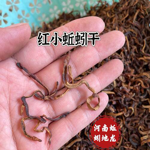 小红蚯蚓干钓鱼饵料钓鱼黑坑泥鳅鳅宝玉黄鳝河虾诱饵垂户外抓鱼