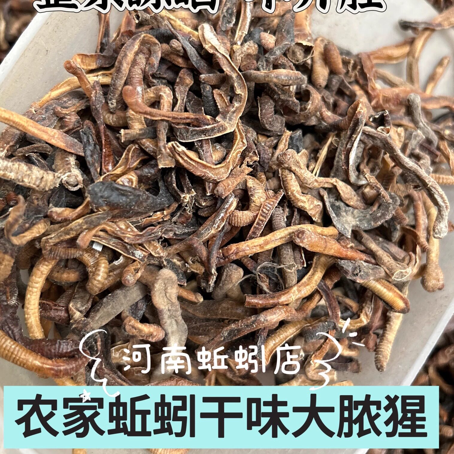 圆条蚯蚓干货地龙中药饵料添加泥鳅黄鳝河虾诱饵户外