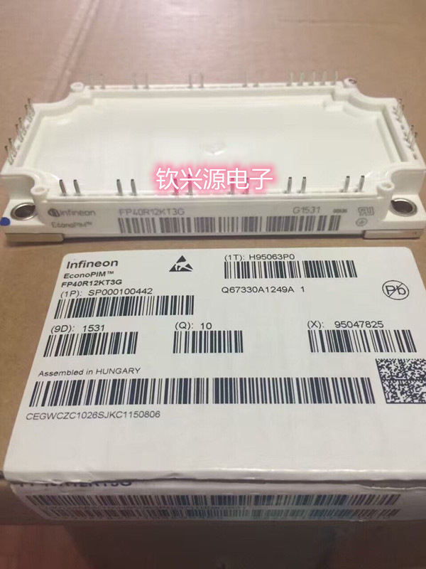 FP75R12KT3.FP75R12KE3.GD50PIT120C6S.GD75PIT120C6S质量保证