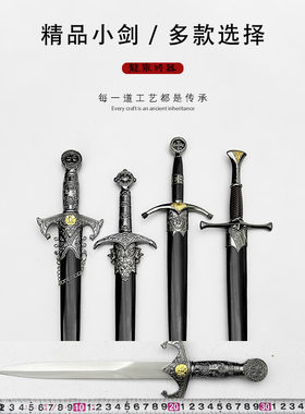 龙泉将器宝剑西洋小剑欧