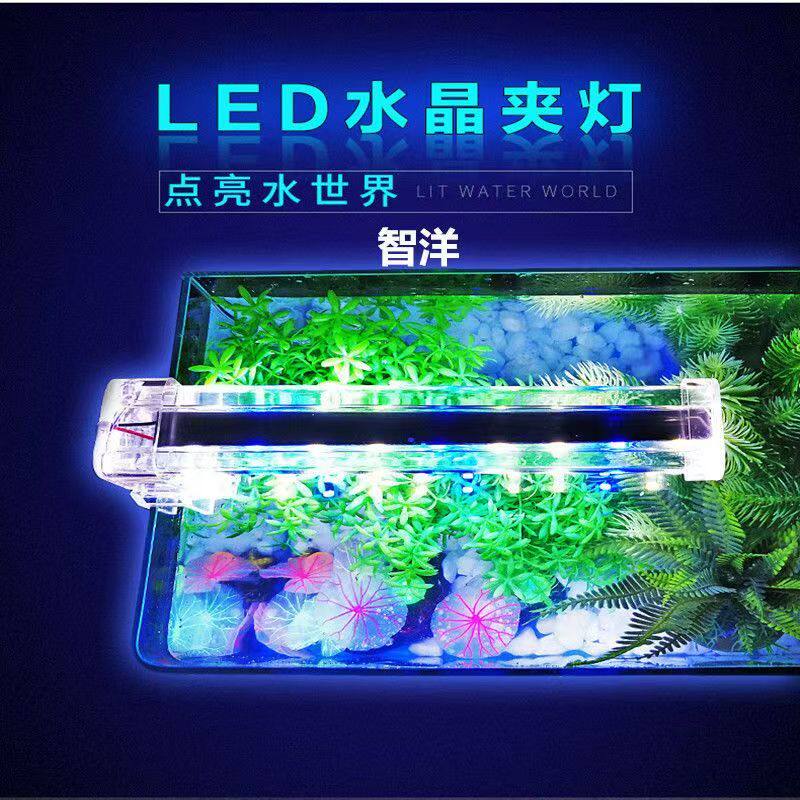 日胜水晶夹灯高亮度蓝白光灯模拟自然光透明水晶灯可90度翻转迷您