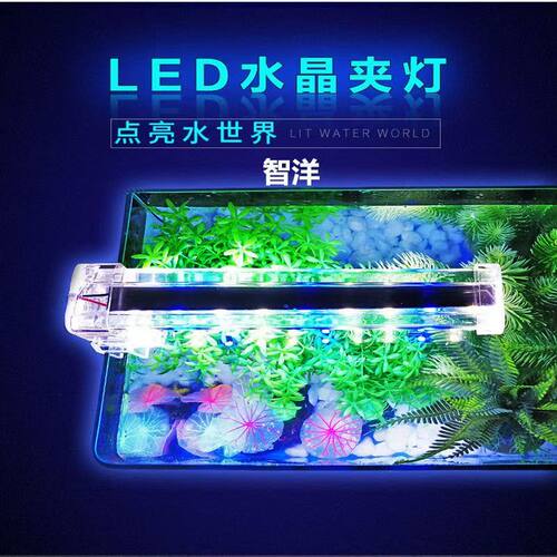 日胜水晶夹灯高亮度蓝白光灯模拟自然光透明水晶灯可90度翻转迷您