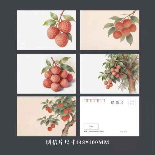 荔枝明信片五张一套 可做极限片实寄片纪念片集邮收藏品