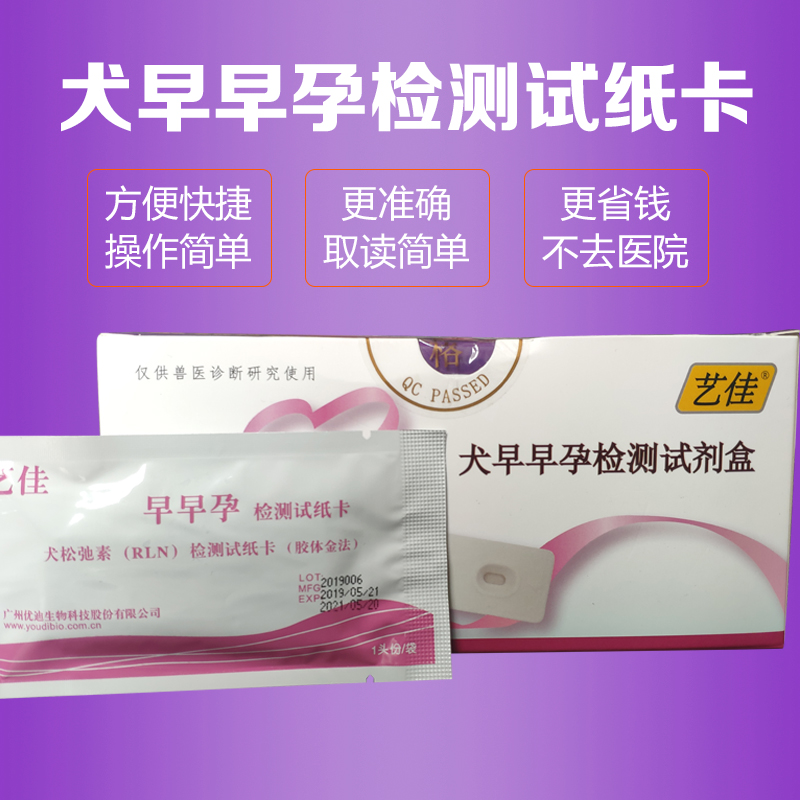 宠物犬早孕检测试纸卡狗早早孕检测纸狗狗rln检测试纸包邮单个价