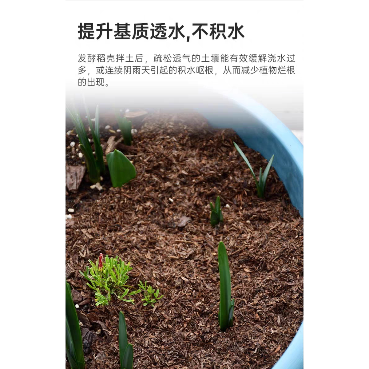 发酵稻壳疏松透气拌土