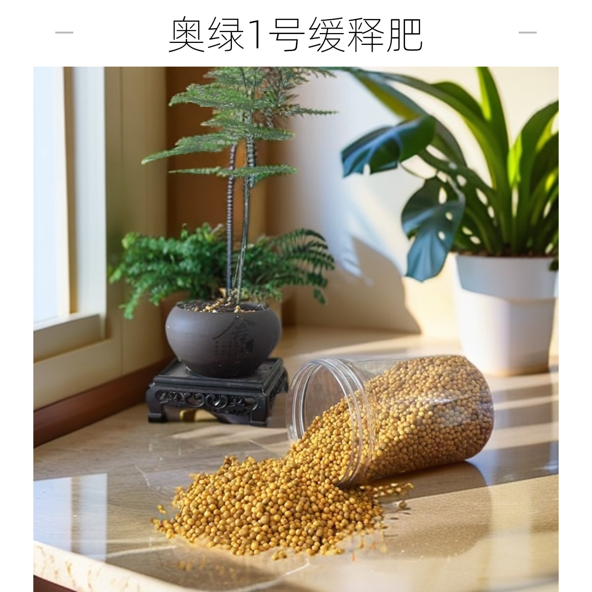 奥绿1号进口颗粒控释肥花卉蔬菜通用肥效稳定不烧苗促生长安全,鲜花速递/花卉仿真/绿植园艺,家庭园艺肥料,淘宝优惠券,粉丝福利购,淘宝优惠卷