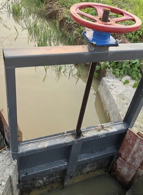 启闭机闸门一体式钢制铸铁手摇电动限位水闸水机闸一体式铸铁闸门