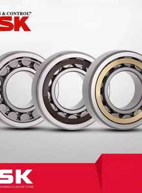 NSK轴承RN 303 304 305 306 307 308 309 310 311 312/EM/EW/ET/3