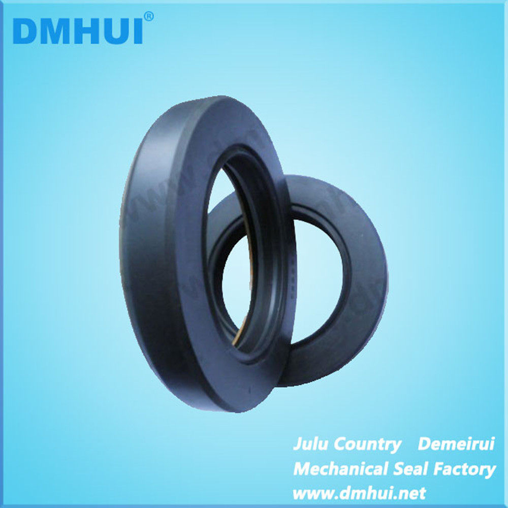 DMHUI骨架油封液压泵马达