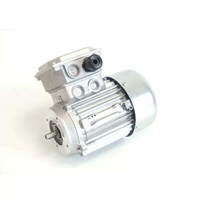 议价Walther Flender MA56C4 Drehstrommotor SN:L11713425001600