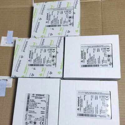议价SNZ4052K R1.188.0450.1 安全继电器weiland 正品
