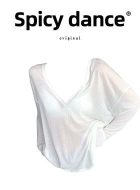 慵懒风休闲V领薄款长袖防晒T恤女港味宽松低胸透视设计感罩衫上衣