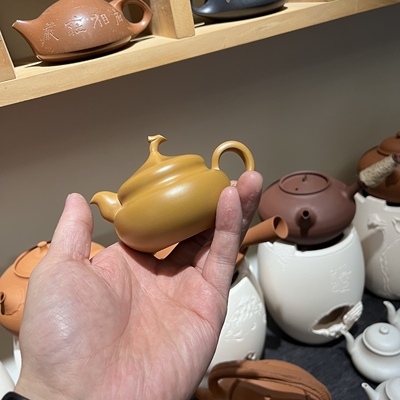 八宝壶·黄金段泥 林嬿潮州手拉壶文人工夫茶器孟臣壶