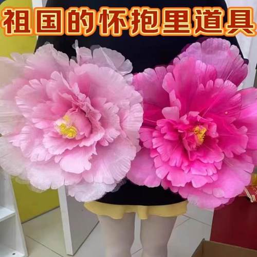 双层花瓣开场舞广场舞道具手拿花
