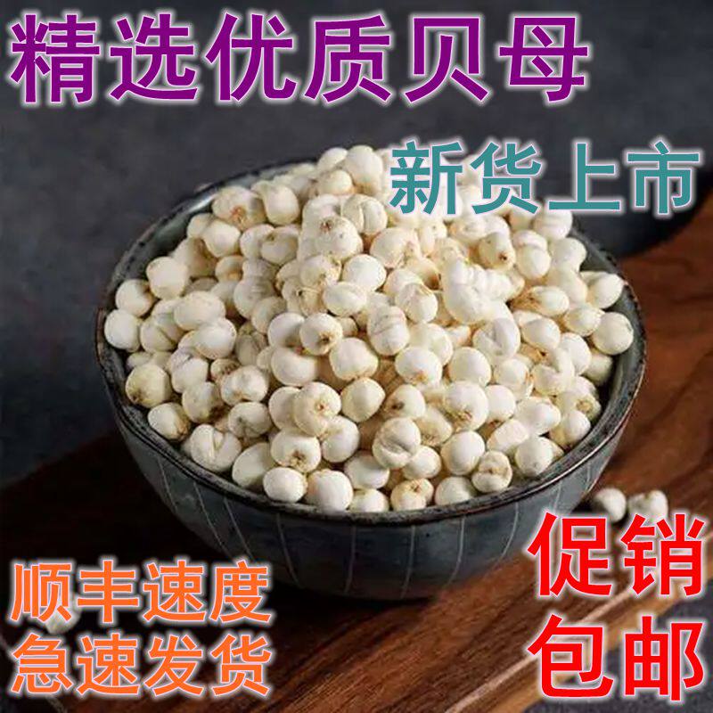 贝母中药材正品食用贝母川贝母贝母粉干净无杂无硫500g克促销包邮