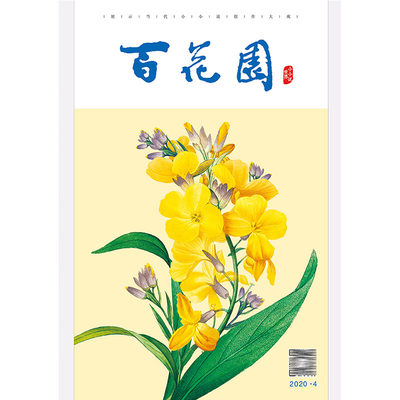 百花园 小小说世界 2020年4期 期刊杂志 故事 文摘