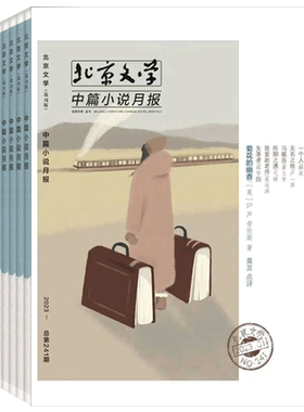 文摘文学北京文学中篇小说月报