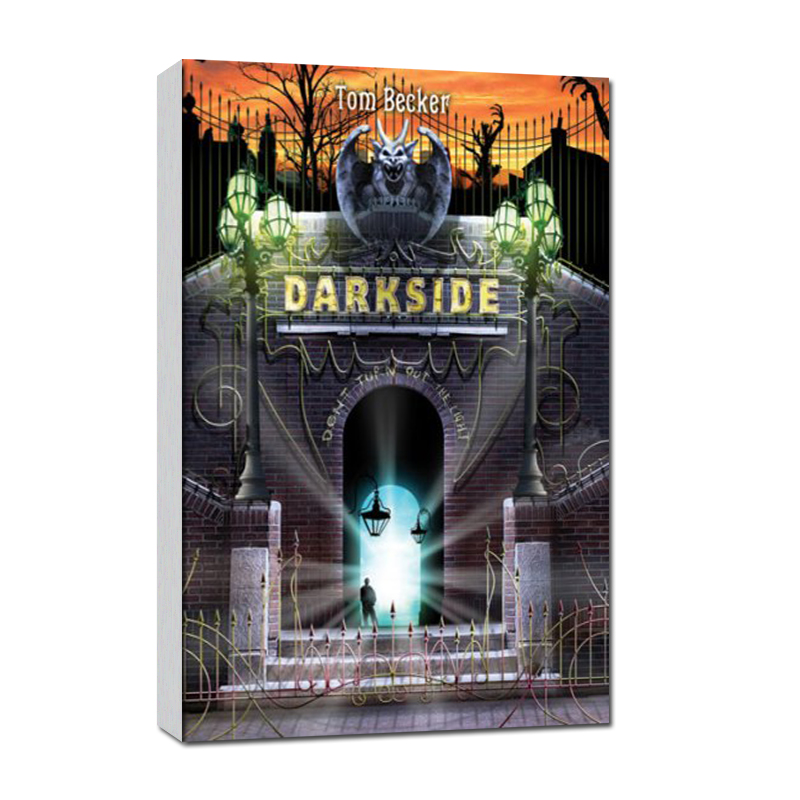 原版英文 FICTION 11-14全球知名中学读物 Darkside
