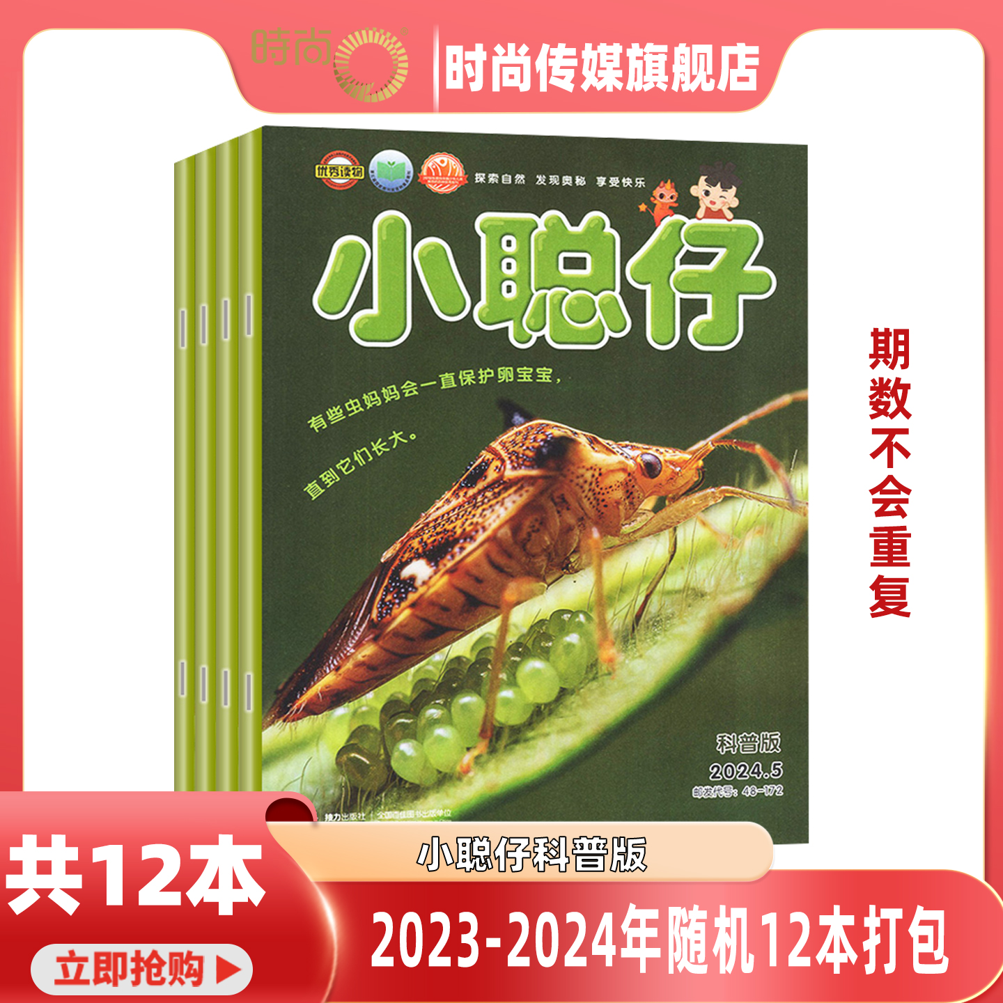 小聪仔科普版 杂志 2023-2024年 随机12本（不重复）