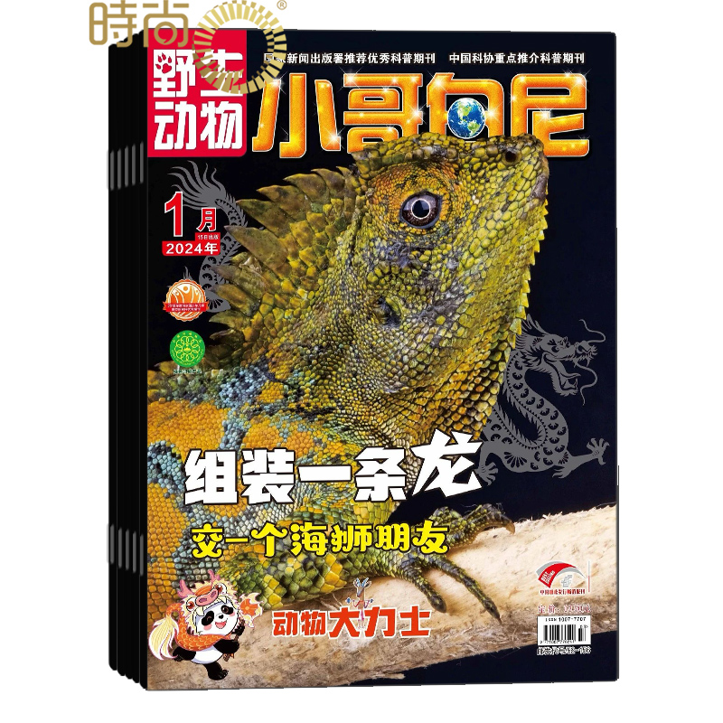 少年儿童科普期刊杂志