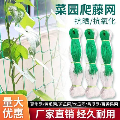 爬藤网农用蔬菜瓜果攀爬种植网