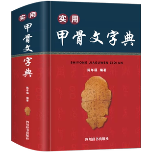 正版实用甲骨文字典殷墟甲骨文构形形义关系古代文字汉字形体构造字型字义解析专业工具书甲骨文研究字典书法篆刻爱好者收藏鉴赏书