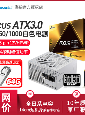 海韵电源 FOCUS GX1000 850 白色全套压纹线 新版ATX3.0 支持4090