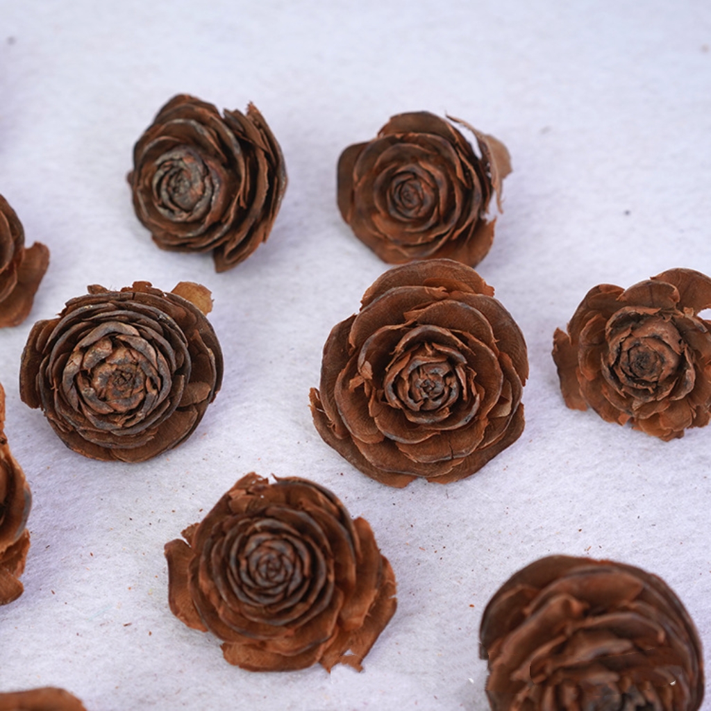 【木玫瑰】松果松塔天然干花干果植物标本相框装饰永生花花环配材