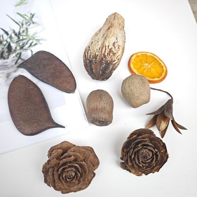 天然植物果子diy标本相框制作材