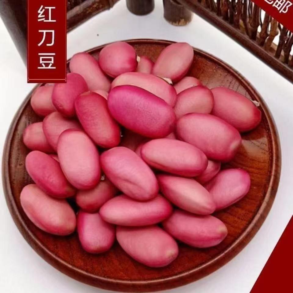 红刀豆手工diy材料豆荚娃娃配件