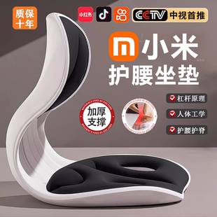 官方正品 护腰坐垫久坐神器靠背人体工学椅座姿托办公室部支撑新款
